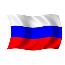 Лен золотистый семена сушеные, 50 гр. (Россия)